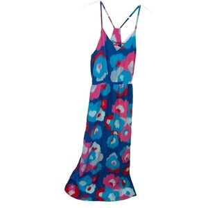 Annie Griffin Sleeveless Maxi Dress Blue Pink Floral